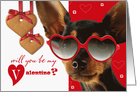 Will you be my Valentine? Funny Dog with Cookies card