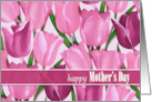 Happy Mother’s Day. Watercolor Pink Tulip Painting card
