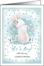 It’s a Boy! Baby Boy Birth Announcement. Bunnies Mom and Baby design card