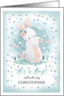 Adopted Baby Boy Shower Invitation. Cute Bunnies Mom and Baby card