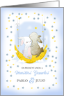 Nuestros Gemelos Twin Boys Birth Announcement In Spanish.Cute Bunnies. card