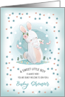Baby Boy Shower Invitation. Bunnies Mom and Baby design card