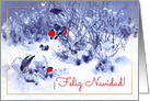 Feliz Navidad. Fine Art Spanish Christmas Card