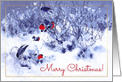 Merry Christmas. Winter landscape with bullfinches card