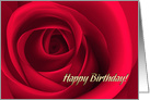 Happy Birthday. Red Rose card