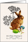 Buona Pasqua. Easter card in Italian. Vintage Easter Bunny card