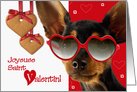 Joyeuse Saint Valentin. French Card with Funny Dog card