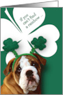 Happy St. Patrick’s Day Funny Bulldog card