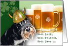 St. Patrick’s Day Party Invitation with Funny Viking Dog card