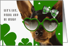 St. Patrick’s Day Party Invitation with Funny Dog card