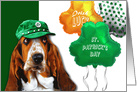 St. Patrick’s Day Party Invitation with Funny Basset Hound card