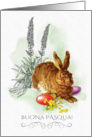 Buona Pasqua Happy Easter in Italian Vintage Bunny Painting card