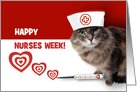 Happy Nurses Week. Funny Cat with Syringe card