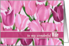 For Wife on Mother’s Day Spring Tulips Painting card