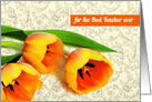 For the Best Teacher ever. Spring Tulips Teacher Appreciation card