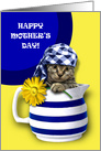 Happy Mother’s Day. Funny Kitten card