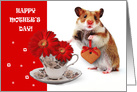 Happy Mother’s Day. Funny Hamster card