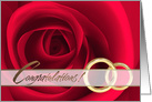 Happy Anniversary. Red Roses card