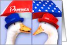 Happy 4th of July from our home to yours Funny Ducks card