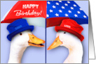 Happy 4th of July Birthday Funny Ducks card
