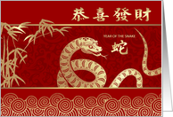 Happy Chinese Year of the Snake in Chinese Traditional Asian Snake card