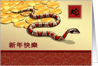 Happy New Year Card in Chinese. Chinese Year of the Snake card