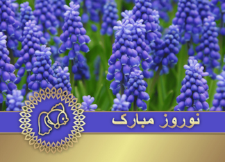 Nowruz Mubarak. Persian New Year Card in Farsi. Spring Hyacinths