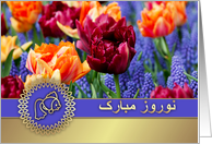 Nowruz Mubarak....