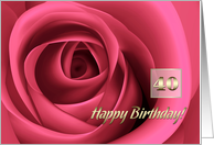 Happy 40th Birthday. Elegant Pink Rose card