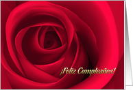 Feliz Cupleaos. Birthday Cards in Spanish. Red Rose card