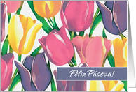 Feliz Pscoa Portuguese Easter Card. Spring Tulip Painting card