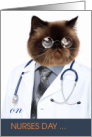 Happy Nurses Day from a Funny Doctor Cat card