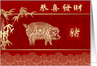 Chinese Year of the...