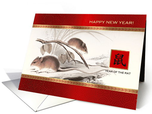 Happy Chinese Year of the Rat. Two Mice Painting card (1585446)