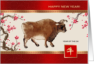 Happy Chinese New...