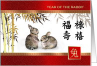 Chinese Year of the Rabbit Greeting in Chinese Two Rabbits Painting card