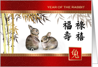 Chinese Year of the...