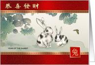 Happy Chinese Year of the Rabbit in Chinese Two Cute Rabbits Painting card