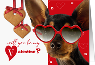 Will you be my Valentine? Funny Dog with Cookies card
