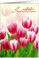 Invitation.Tulips card