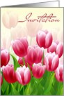 Invitation.Tulips card