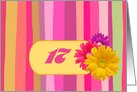 Invitation. 17th Birthday Party. Colorful Design card