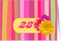 Invitation.28th Birthday Party. Colorful Design card