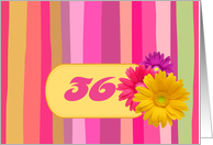 Invitation.36th Birthday Party. Colorful Design card