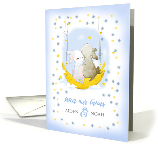 Meet Our Twins.Twin Boys' Birth Announcement. Cute Bunnies card