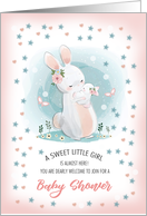 Baby Girl Shower Invitation. Bunnies Mom and Baby design card