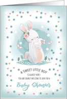Baby Boy Shower Invitation. Bunnies Mom and Baby design card