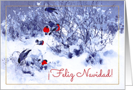 Feliz Navidad. Fine Art Spanish Christmas Card