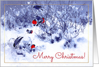Merry Christmas. Winter landscape with bullfinches card