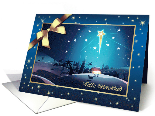 Feliz Navidad Christmas Greeting in Spanish card (690618)